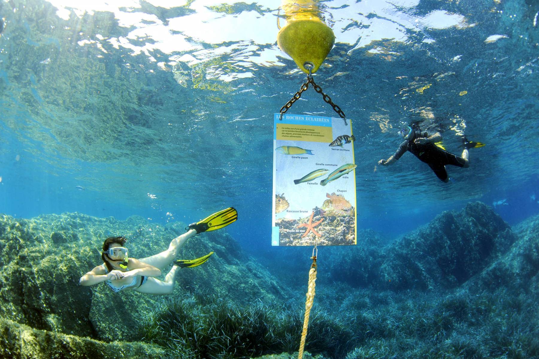 Unterwasserpfad am franz�sichen Mittelmeer by  Var Tourisme, Nicolas Barraqu�